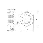 Fiberli Nut 3/8 DIN 985 - Image 2
