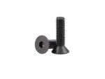 M4x10 Havsa Bas Imbus Bolt DIN 7991